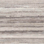 Ermerveen Modern Medium Gray Area Rug