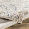 Geelbroek Traditional Bright Blue Area Rug