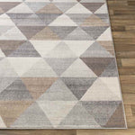 Oshaar Modern Medium Gray Area Rug
