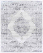 Peest Traditional Medium Gray Area Rug