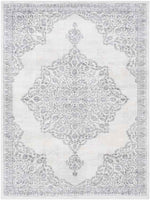 Pieperij Traditional Medium Gray Area Rug