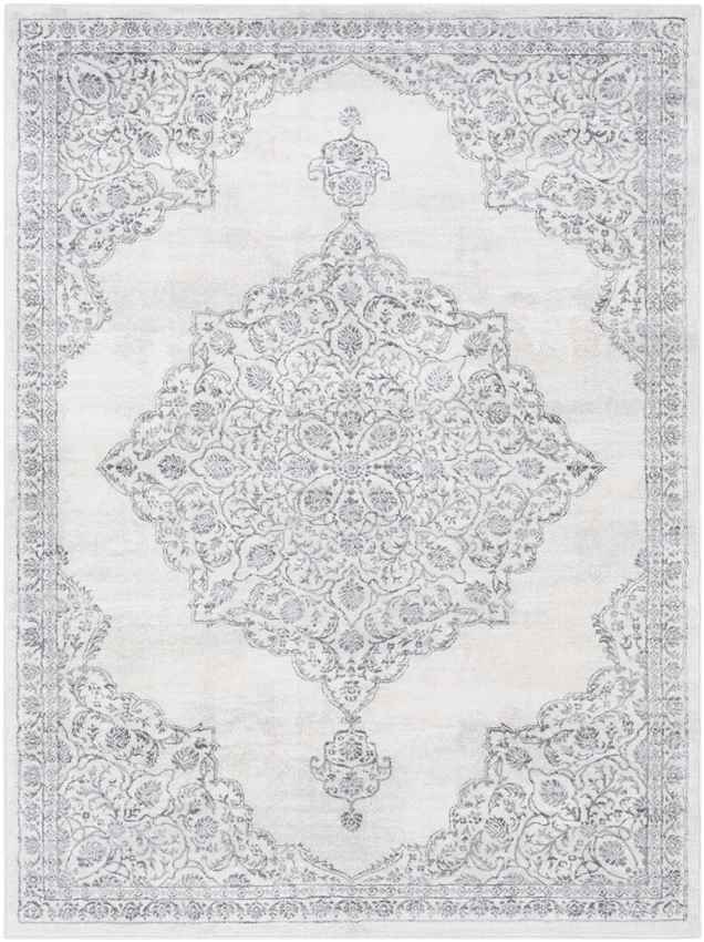 Pieperij Traditional Medium Gray Area Rug
