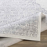 Pieperij Traditional Medium Gray Area Rug