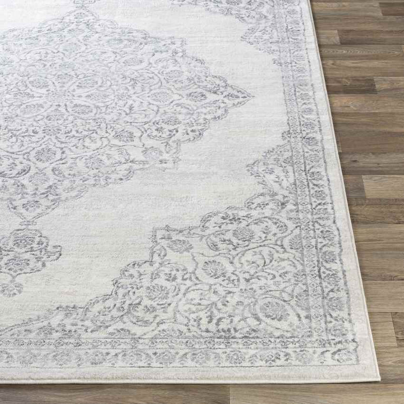 Pieperij Traditional Medium Gray Area Rug