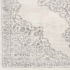 Pieperij Traditional Medium Gray Area Rug