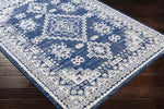 Pikveld Traditional Light Gray Area Rug