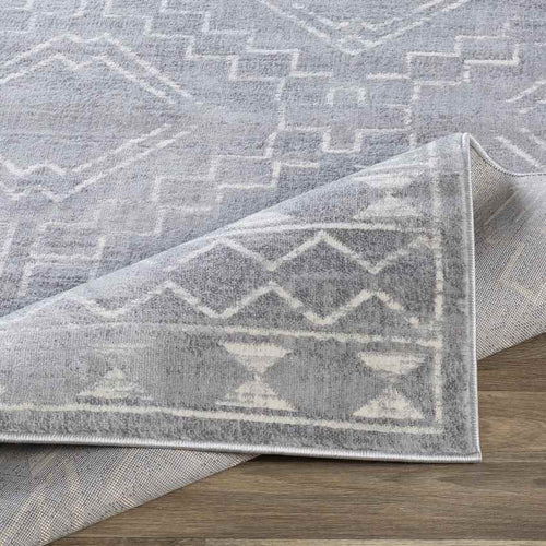 Rheeveld Global Medium Gray Area Rug