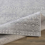 Roswinkel Global Medium Gray Area Rug