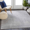 Roswinkel Global Medium Gray Area Rug