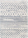 Ruinen Global Dark Blue/White Area Rug