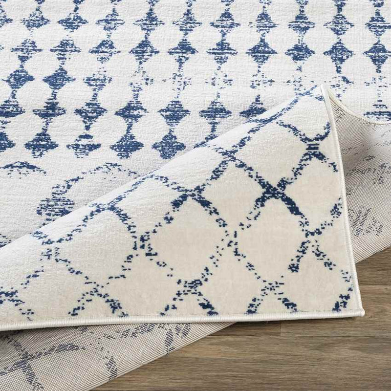 Ruinen Global Dark Blue/White Area Rug