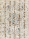 Streek Traditional Taupe Area Rug