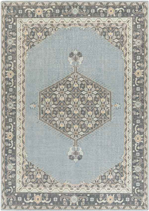 Torenveen Traditional Aqua Area Rug
