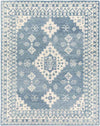 Vossebelt Traditional Pale Blue Area Rug