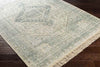 Winde Traditional Sage Area Rug