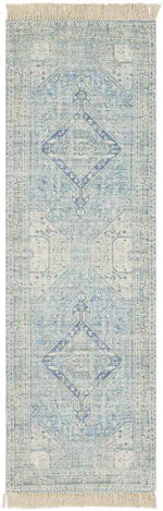 Winde Traditional Sky Blue Area Rug