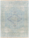 Winde Traditional Sky Blue Area Rug