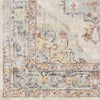 Zuidvelde Traditional Gray/Cream Area Rug