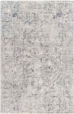 Zuidplas Traditional Medium Gray Area Rug