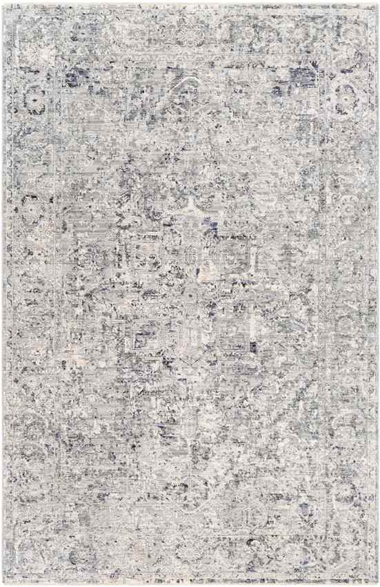 Zuidplas Traditional Medium Gray Area Rug