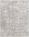 Zuidplas Traditional Medium Gray Area Rug