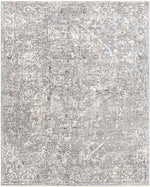 Zuidplas Traditional Medium Gray Area Rug