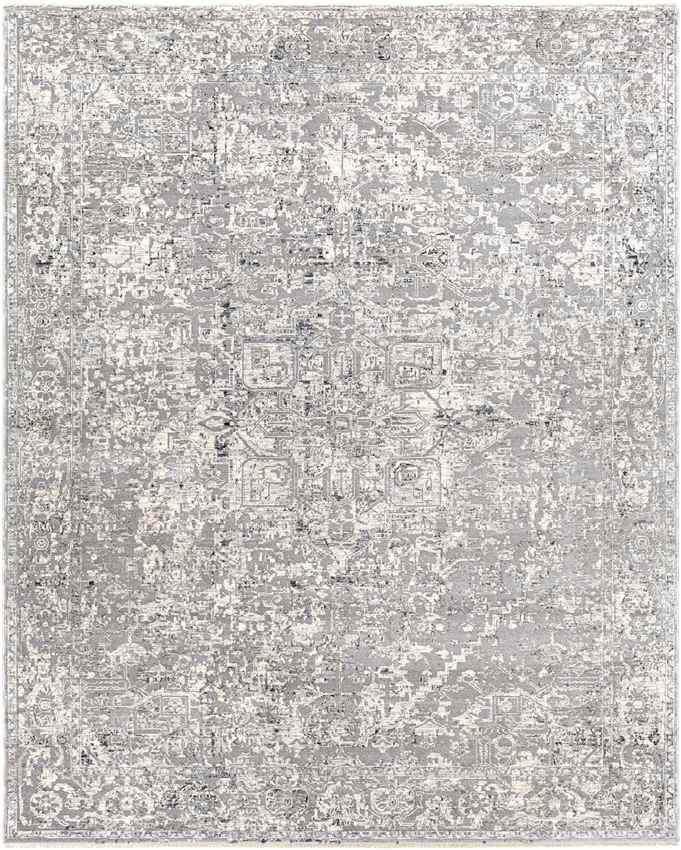 Zuidplas Traditional Medium Gray Area Rug
