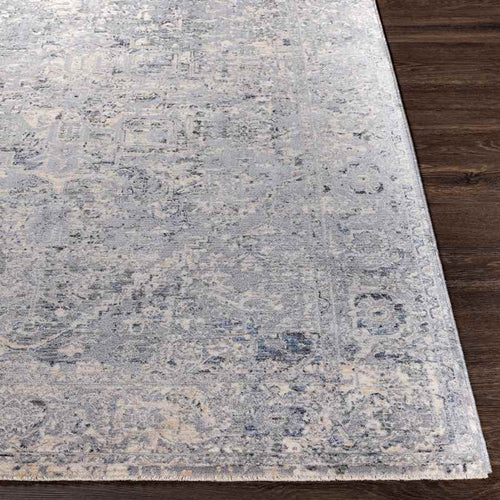 Zuidplas Traditional Medium Gray Area Rug