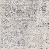 Zuidplas Traditional Medium Gray Area Rug