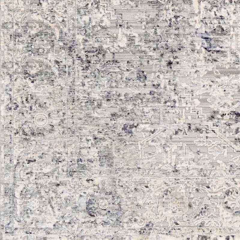 Zuidplas Traditional Medium Gray Area Rug
