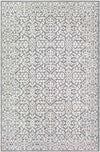 Texel Global Medium Gray Area Rug