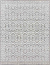 Texel Global Medium Gray Area Rug