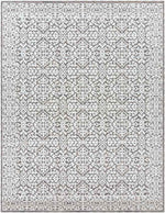 Texel Global Medium Gray Area Rug