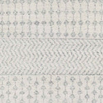 Beemster Global Medium Gray Area Rug