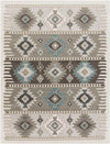 Landerd Rustic Silver Gray Area Rug