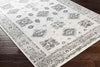 Royston Traditional Light Gray Area Rug