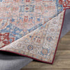 Maasdriel Traditional Burnt Orange Area Rug