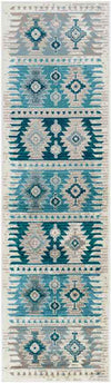 Arizona Rustic Aqua Area Rug