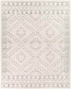 Rheeveld Global Grey Area Rug