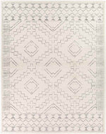 Rheeveld Global Grey Area Rug