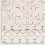 Rheeveld Global Grey Area Rug