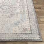 Tadley Traditional Medium Gray Area Rug