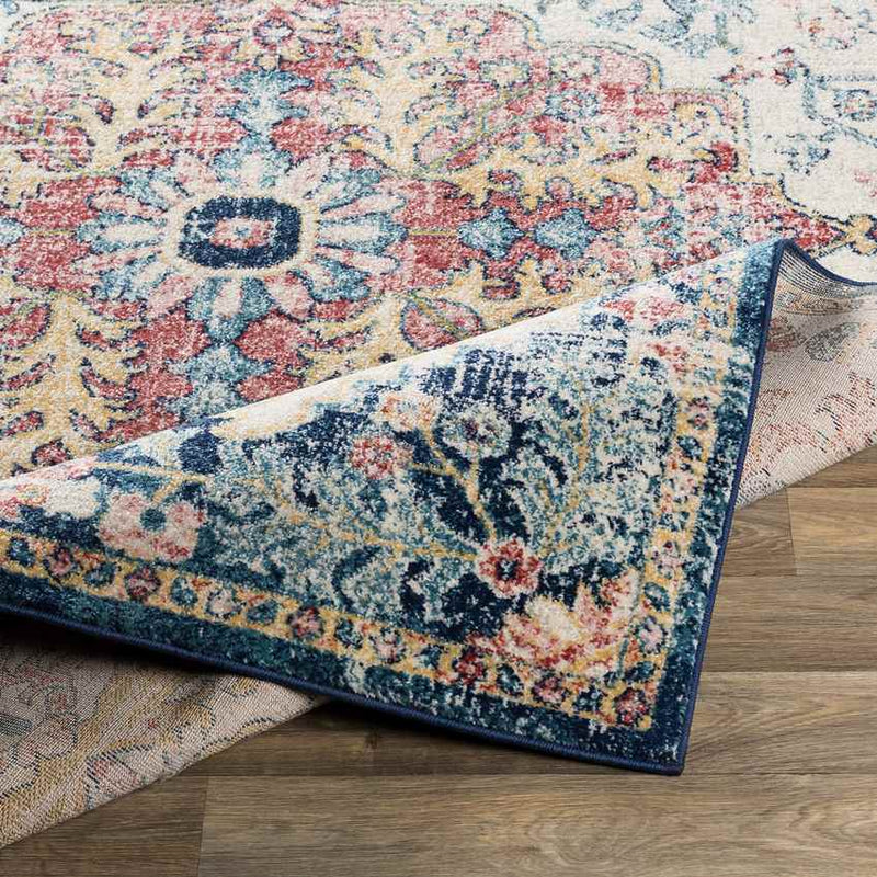Gimel Traditional Sky Blue/Garnet Area Rug