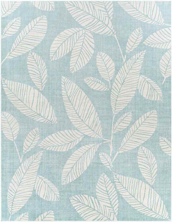 Bargebek Coastal Aqua Area Rug