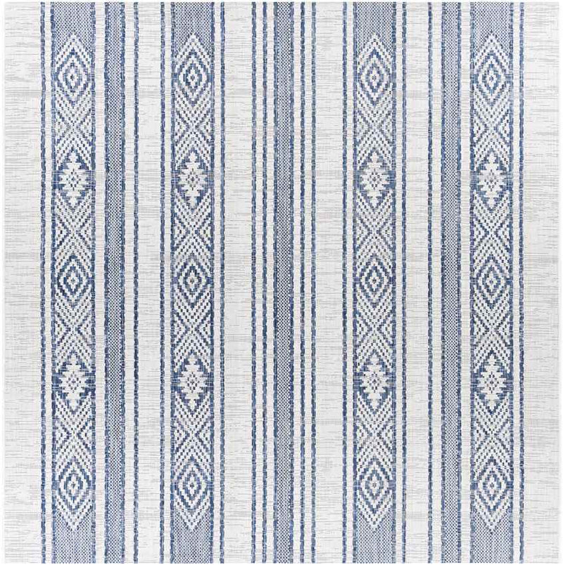 Aerdt Global Pale Blue Area Rug