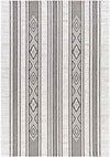 Aerdt Global Medium Gray Area Rug