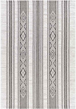 Aerdt Global Medium Gray Area Rug