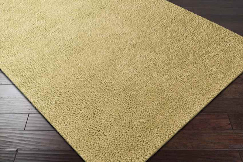 Geron Modern Tan Area Rug