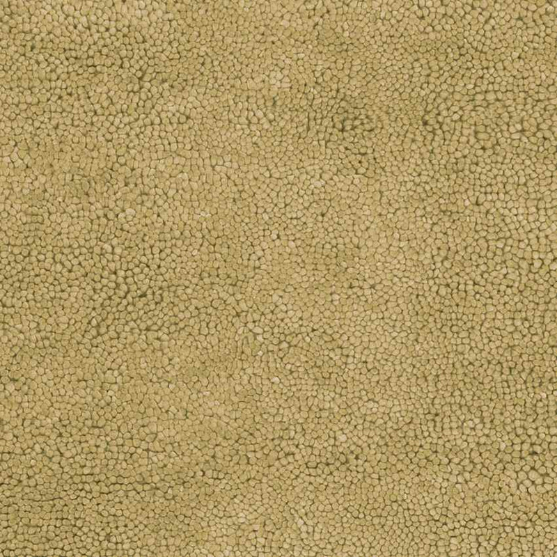 Geron Modern Tan Area Rug