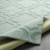 Bergerac Modern Mint Area Rug